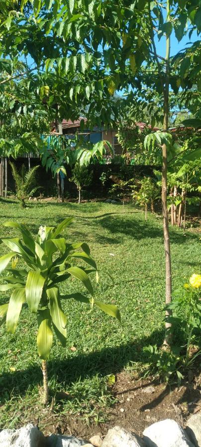Karleta Homestay Ruteng Dış mekan fotoğraf