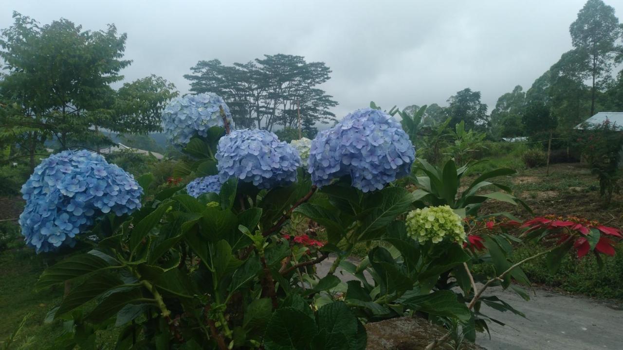 Karleta Homestay Ruteng Dış mekan fotoğraf