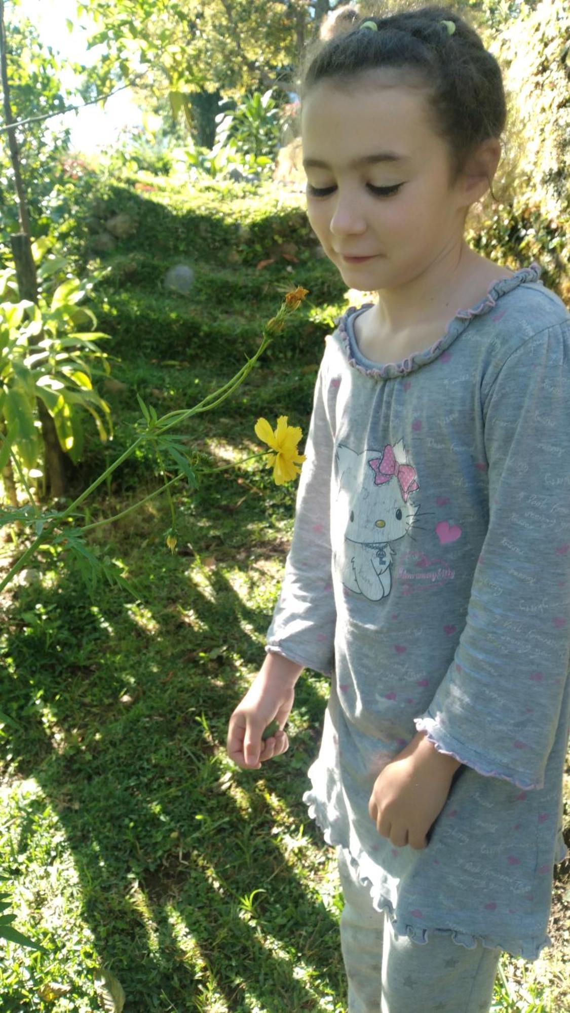 Karleta Homestay Ruteng Dış mekan fotoğraf